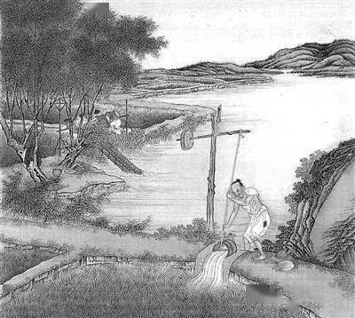 图②:插秧图中,壮劳力最多,家中男性基本都要上阵,他们分散在拔秧,运