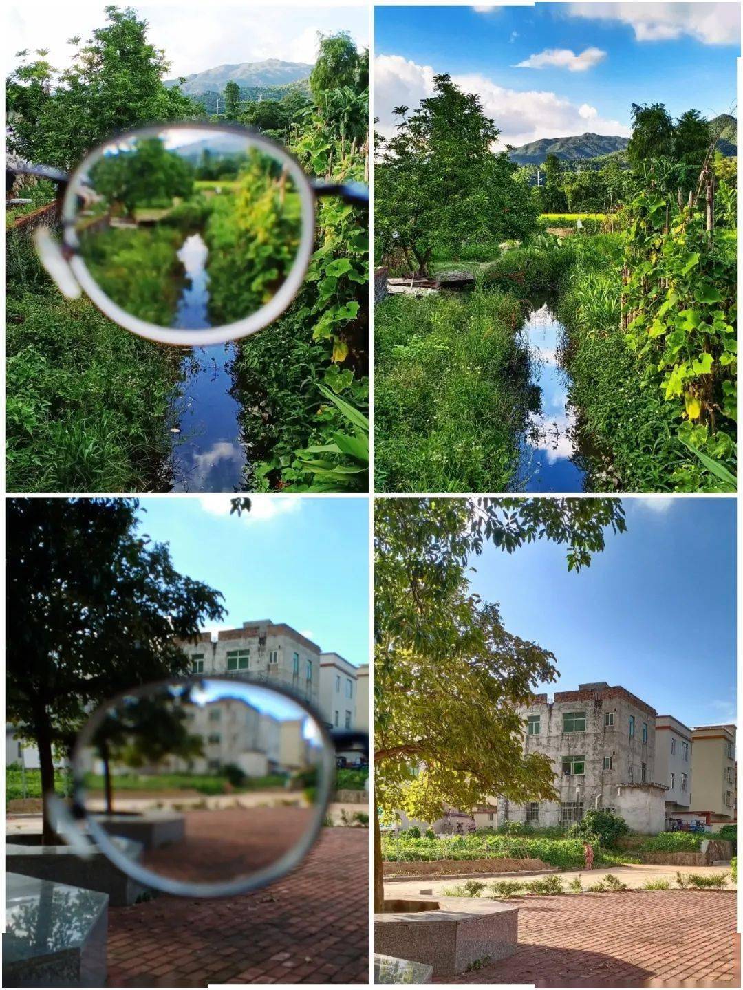 广东省中小学生爱眼护眼评选结果出炉!