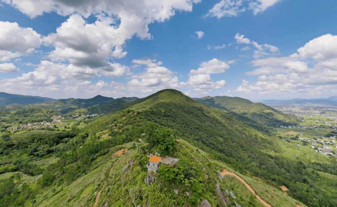 见过罗定分界镇这纯粹的绿我的眼里再也容不下其他颜色