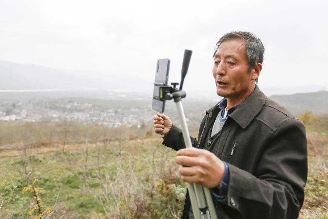 9万农民正在田里玩手机