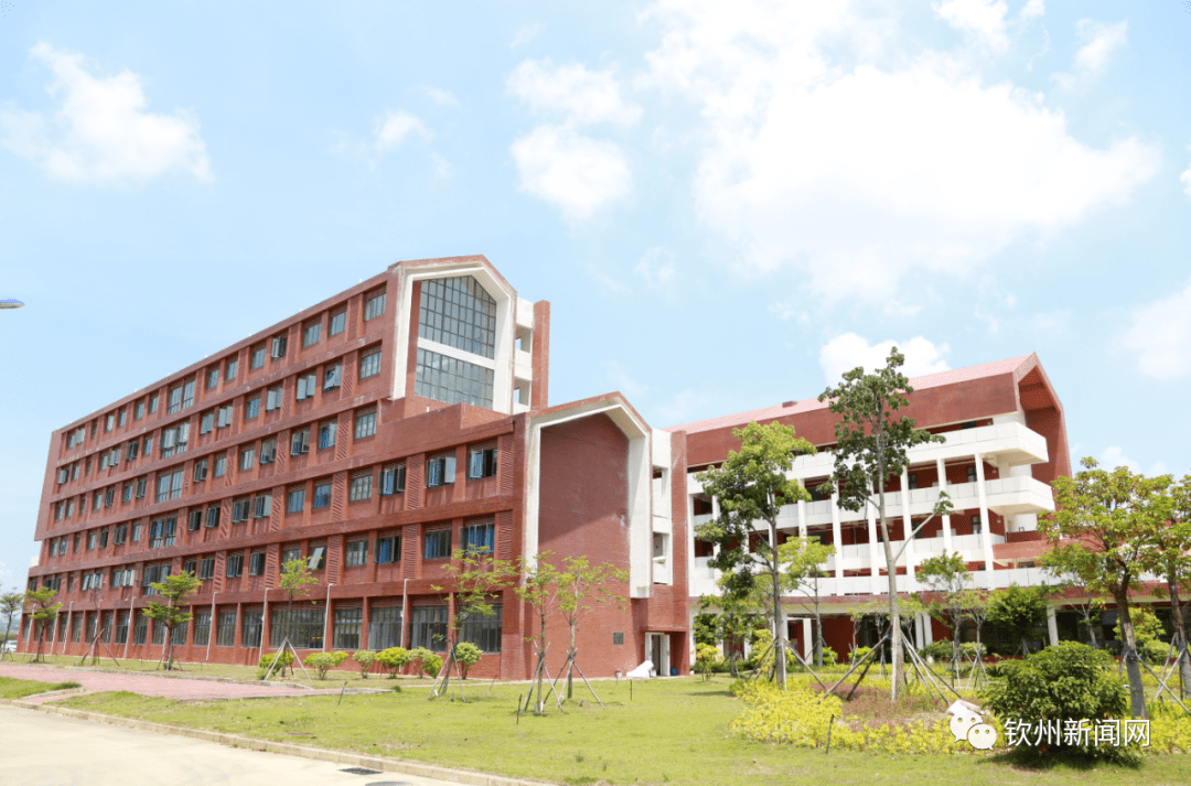 2020年"网眼看自贸区钦州港片区一周年"网媒网友釆访活动 见证片区