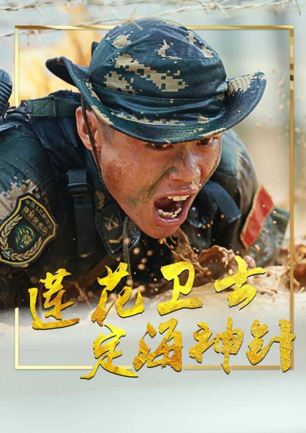 海报丨驻澳门部队:莲花卫士 定海神针