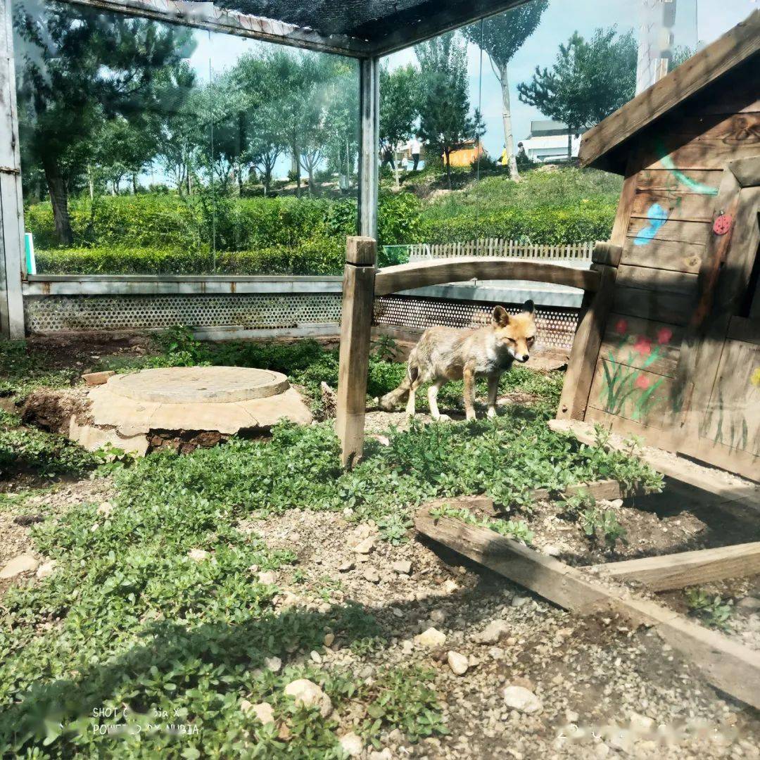 大青山野生動物園採取門票減免措施