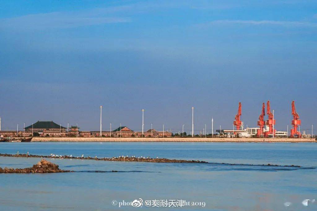 大神堂 看看这个个饱满的虾, 蔡家堡渔港码头 地址:滨海新区s11海滨