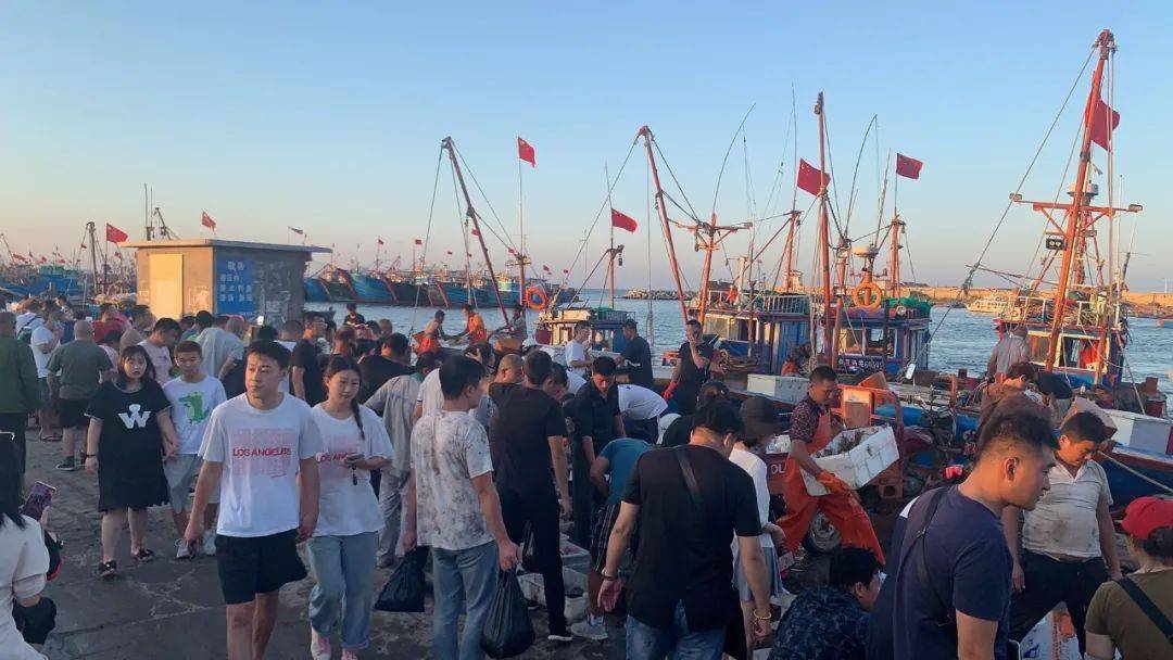 现场直击蓬莱开海了附最新海鲜价格