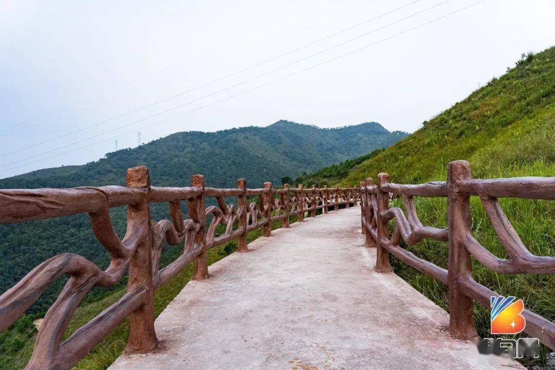 博白雷公岭森林公园惊现一处网红打卡点,要火!