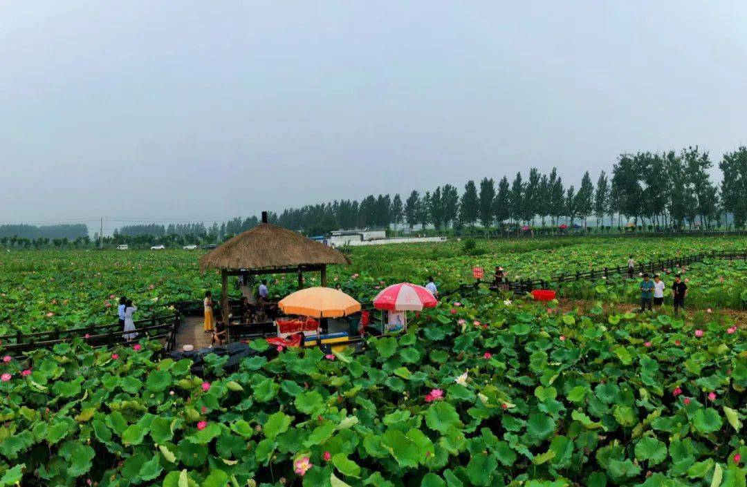 亳州两村庄入选全国乡村旅游重点村!快去打卡