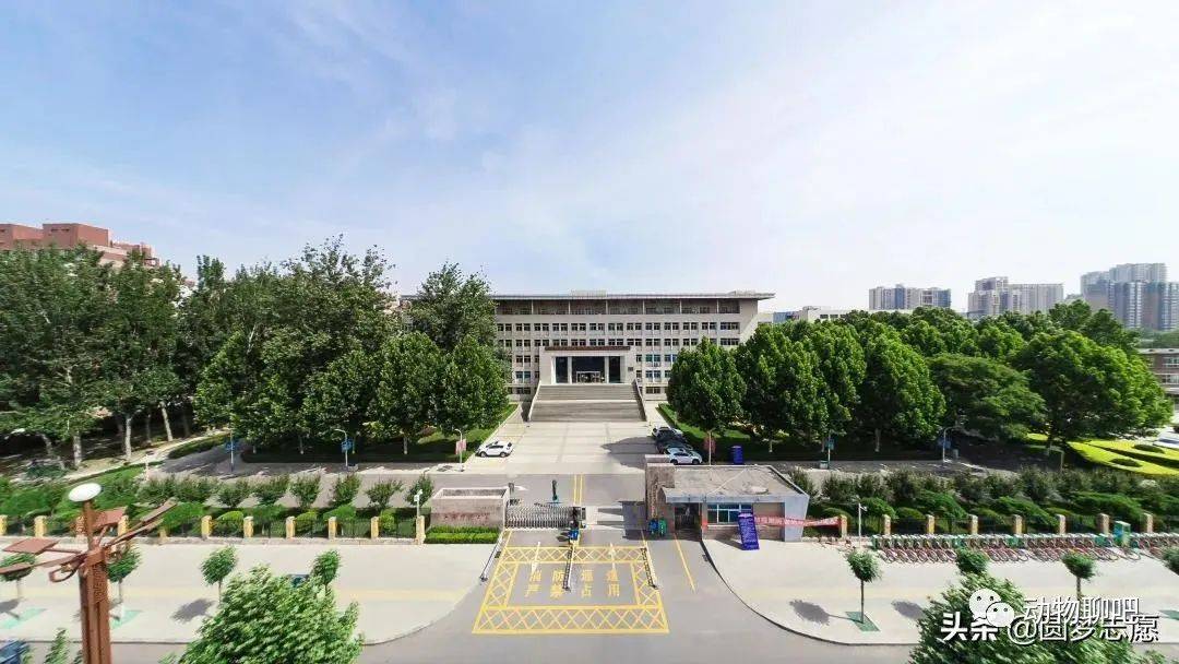 2020民办独立院校排名_2020年民办转公办,独立学院转型,高职升格等名单来了