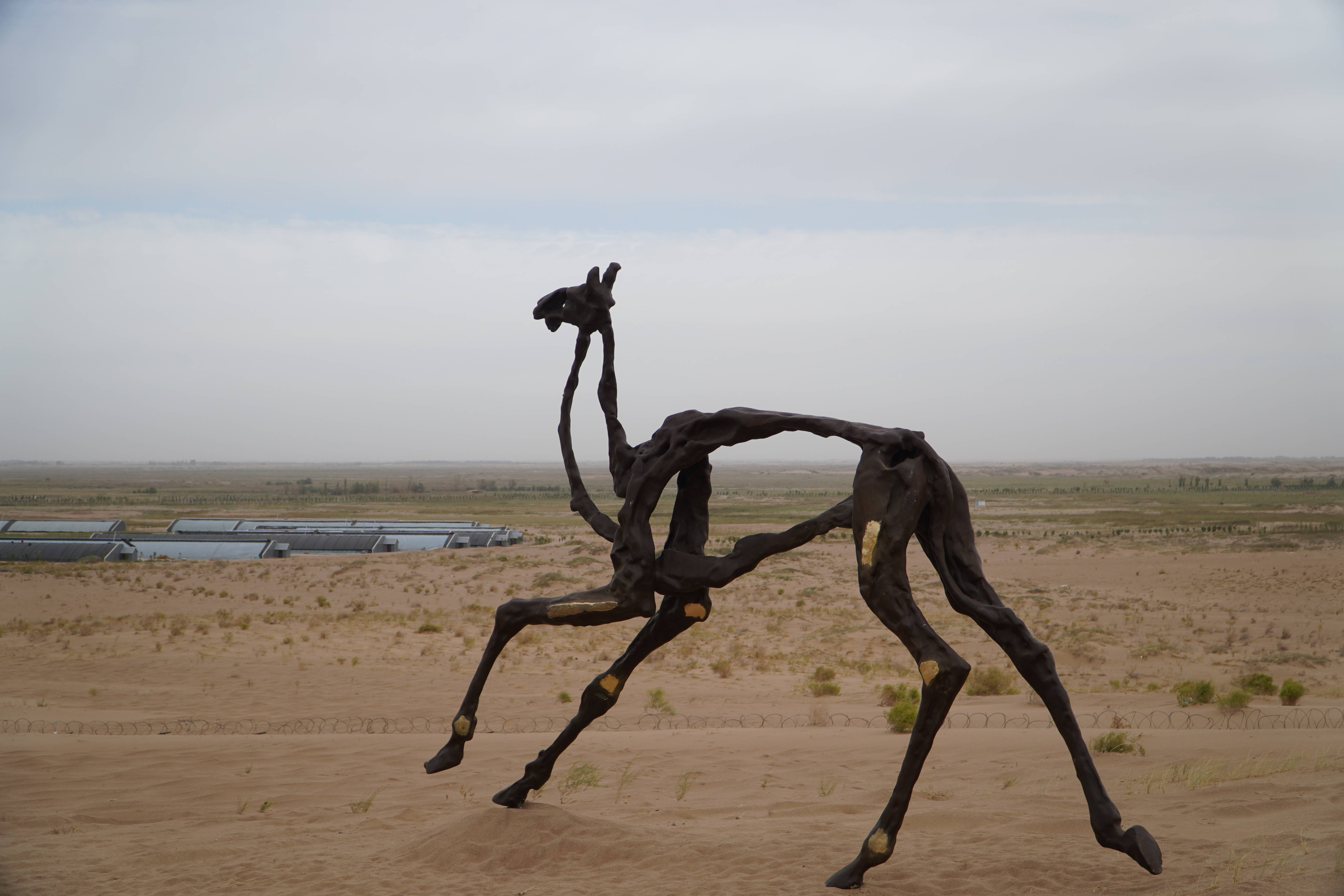 雕塑作品《骆驼》(9月5日摄).
