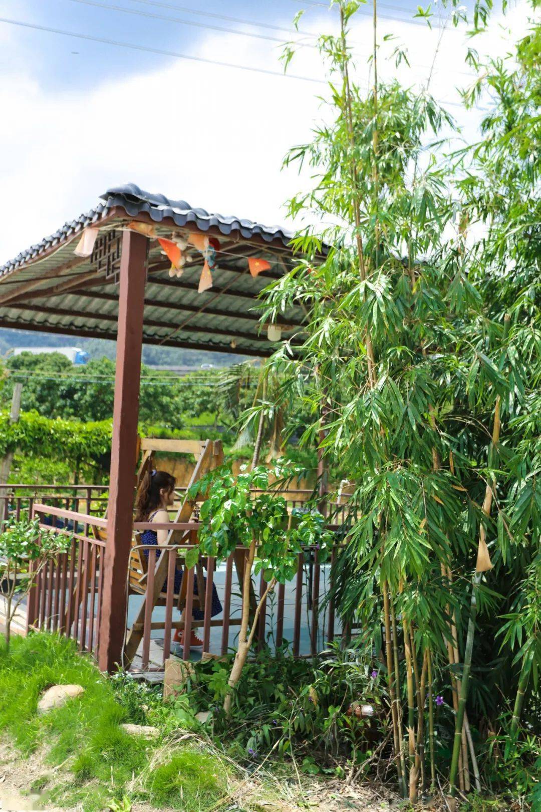 品味斗门原生态农庄药膳青头鸭套餐只须118元足5人享尝