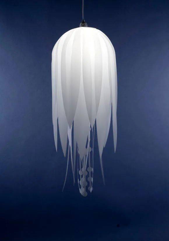 产品造型|释放想象力的仿生产品设计_形态