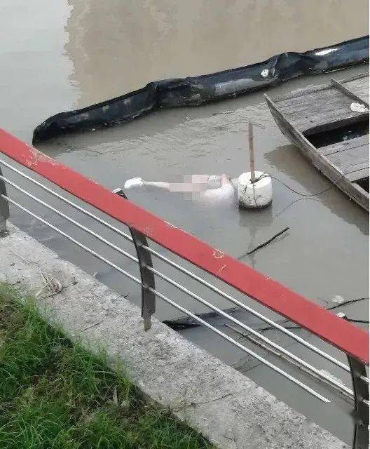 湖南科技大学明湖浮尸图片