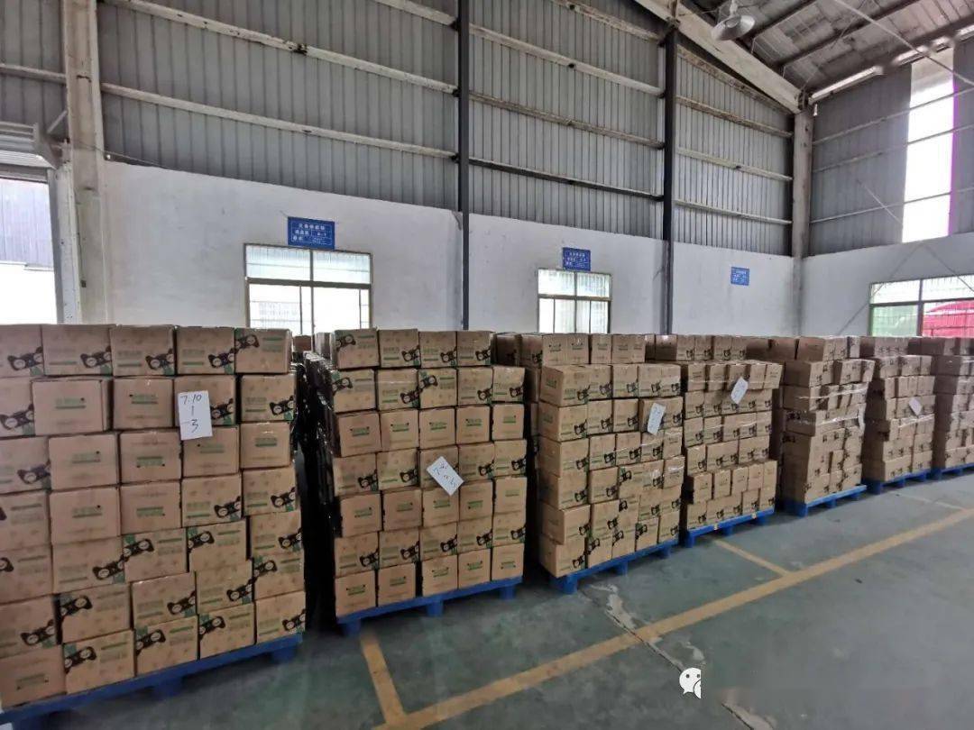 明日剧透|"社交电商"连起小农户和大市场_徐阿光