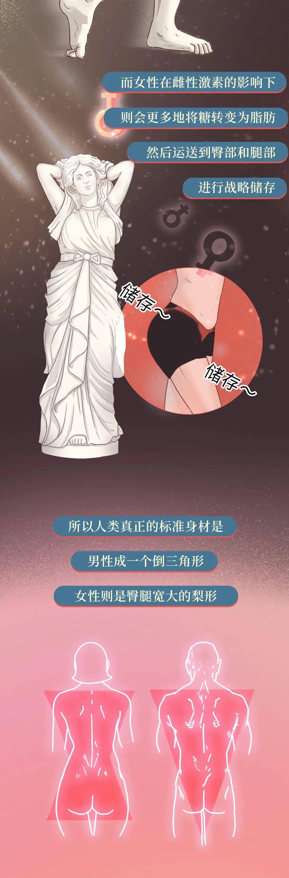世界性难题:为什么女生的腿比男生粗?