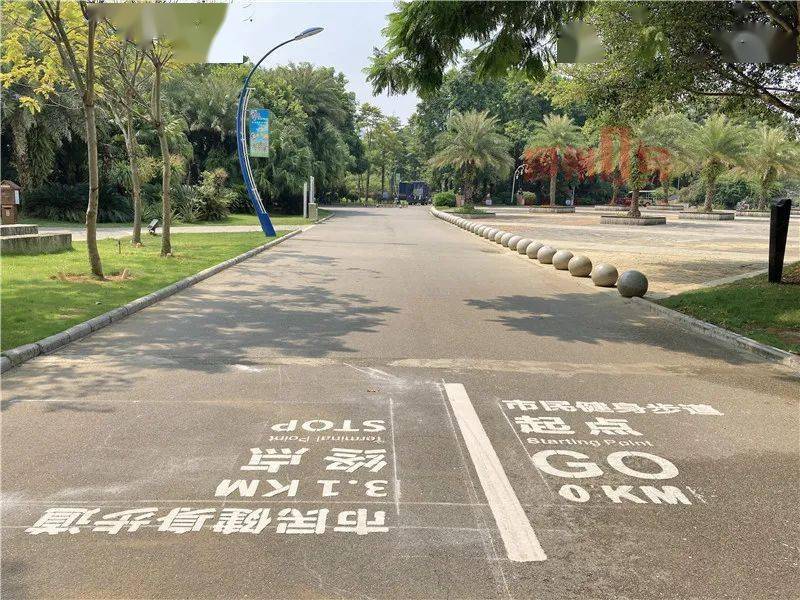 修建完善健身步道,锻炼更有仪式感,马鹿山公园地面的"小惊喜"你发现了