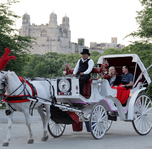 城市微旅行:巴黎,纽约城市马车游览奇遇记_游客