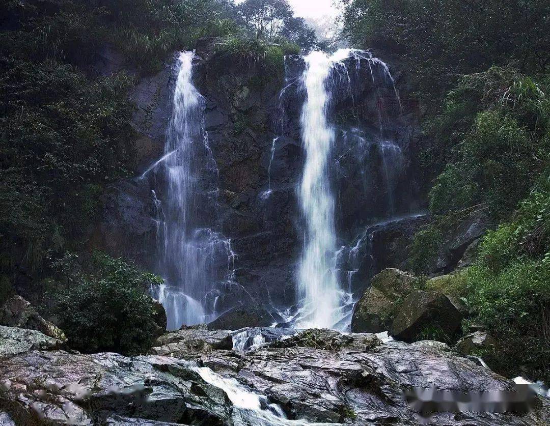 尋夢撫州深度三日遊湯顯祖故里尋夢牡丹亭黎川古城南城麻姑山康養之旅