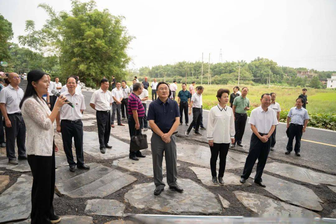 与会人员前往乐昌市长来镇安口村,实地考察安口村樟树王公园项目
