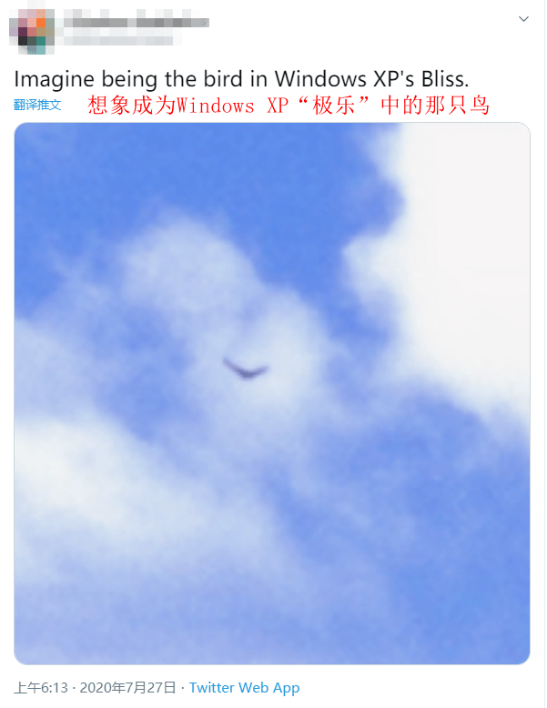 那张 Windows XP 默认壁纸,直到今天都还有新故事发生-搜狐大视野-搜狐新闻