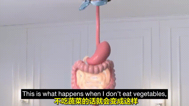 神似传说中的"飞天降" 一颗头连着巨大的肠胃飞至半空中 更恐怖的还是