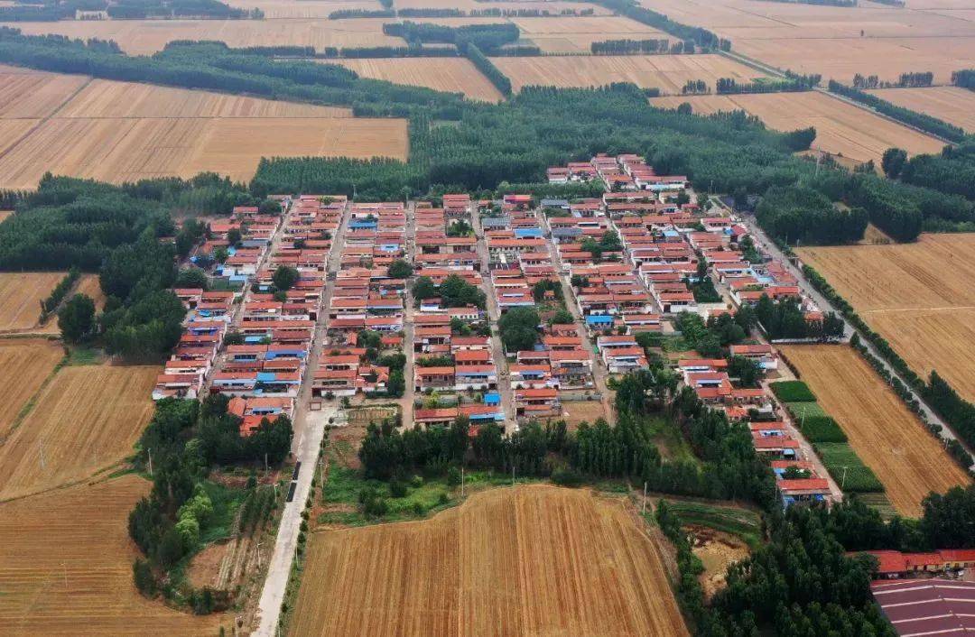 美丽宜居乡村魏桥镇张家寨村擦亮美丽乡村名片点亮百姓幸福生活