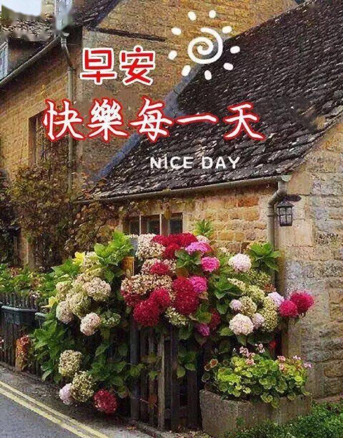早上好问候美图早安问候语句