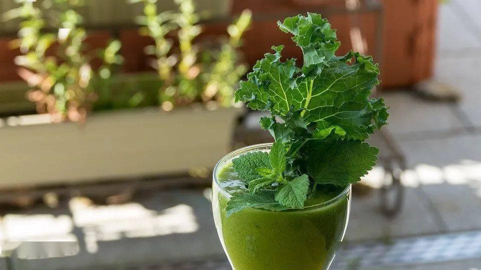 【健康直通车】无糖饮料不含糖?喝了会不会发胖?