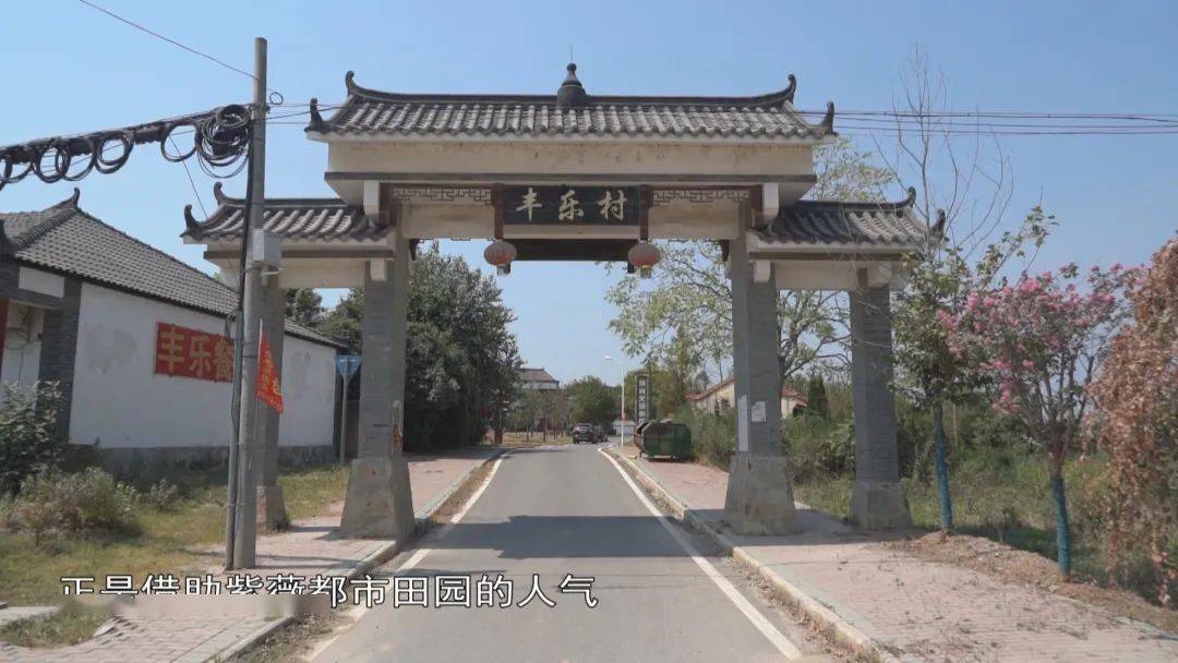 本期【寻找武汉最美乡村】→主播小姐姐带你去丰乐村体验都市田园生活