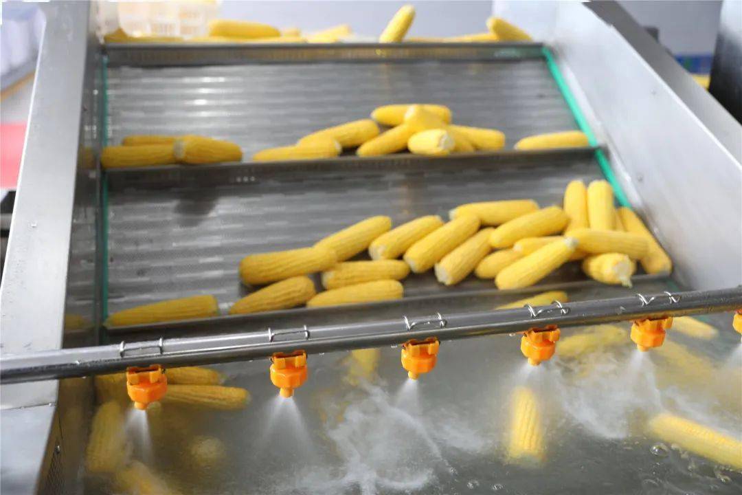 龙镇农场有限公司举办"当好主人翁,建功北大荒"职工技能糯玉米美食