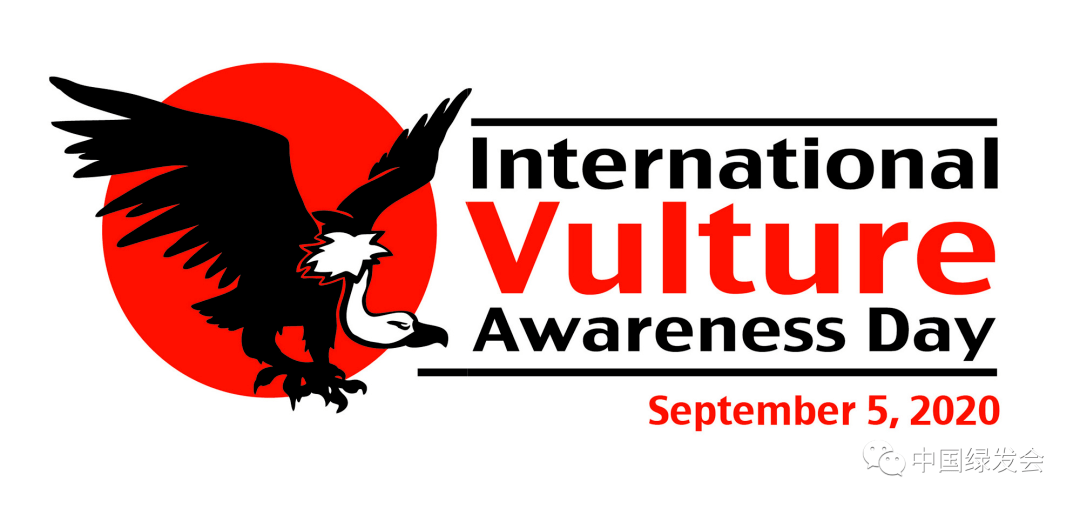 2020年9月5日是"国际秃鹫宣传日",为什么要保护秃鹫?