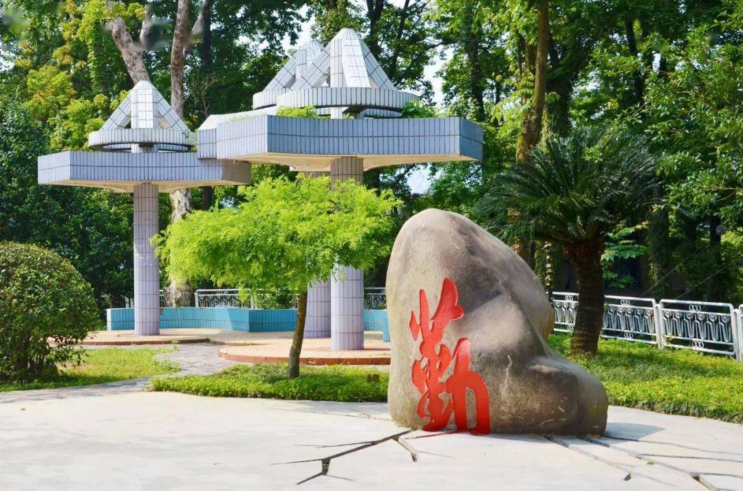 南平市高级中学2020年高考顶尖高校录取榜