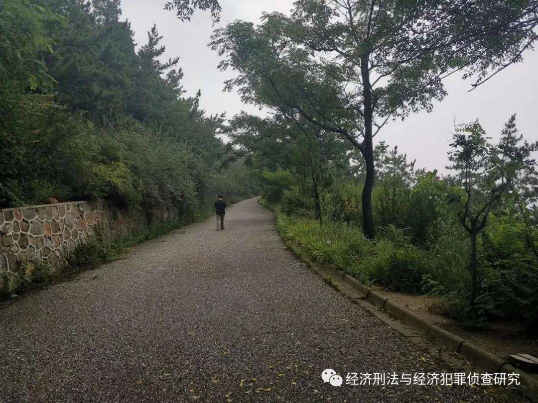 松间沙路净无泥