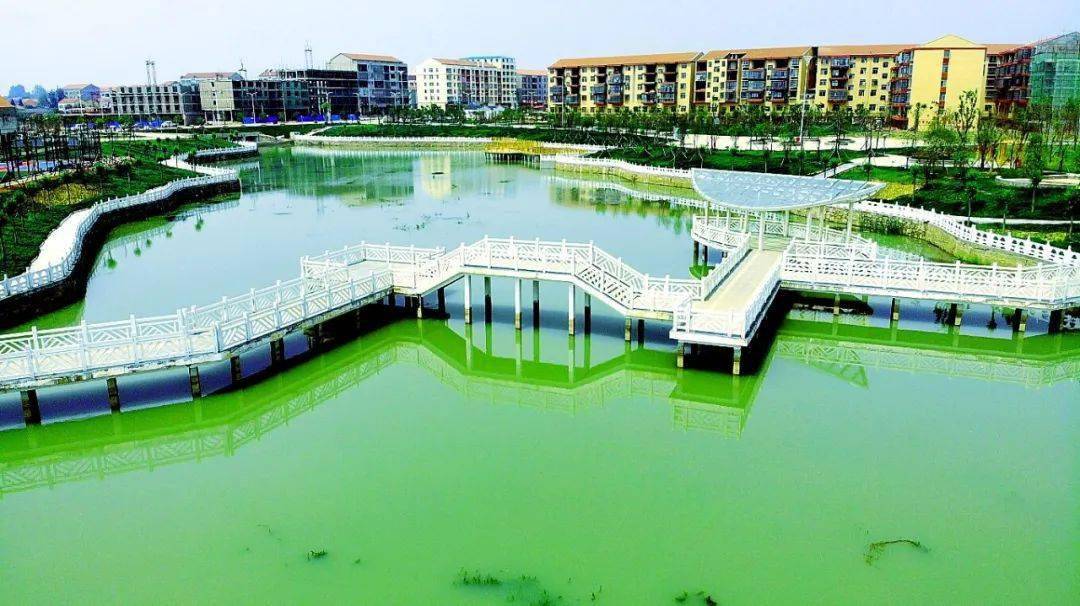 广水市东方明珠杨寨镇