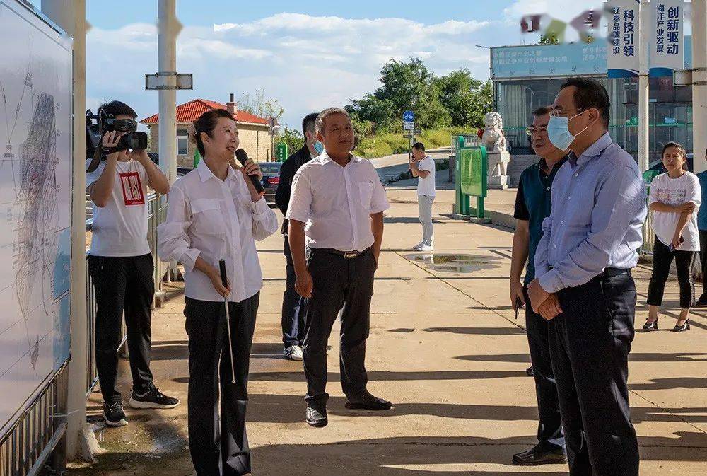 规划领引精确布局骆东升副市长深入辽参小镇实地考察