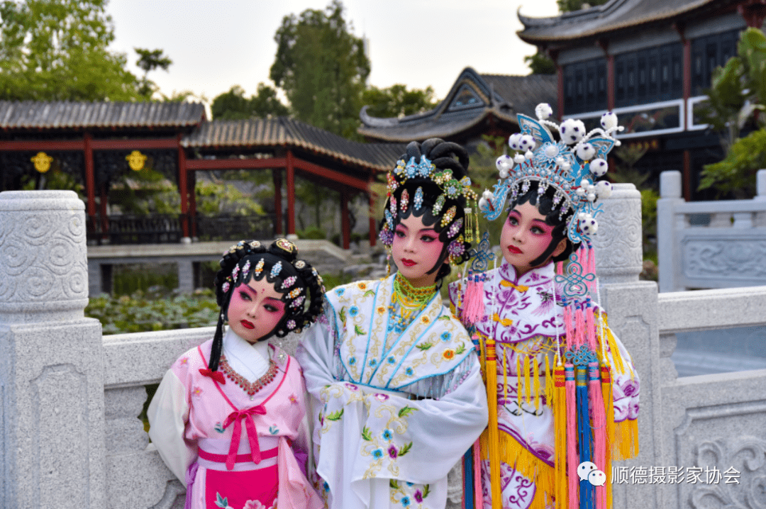 征稿万家灯火万家弦顺德粤剧曲艺荟摄影大赛火热征集