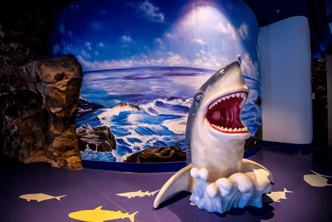 原岸美学生活|探寻未知 海底总动员主题活动奇趣来袭_海洋