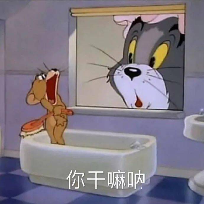 头像女沙雕猫和老鼠图片