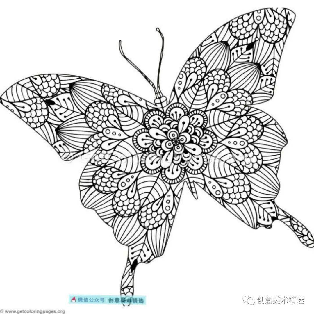 黑白线描临摹素材漂亮的蝴蝶主题线描装饰画
