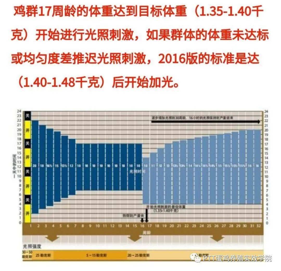 ptt蛋鸡实效学院疾病咨询案例分享