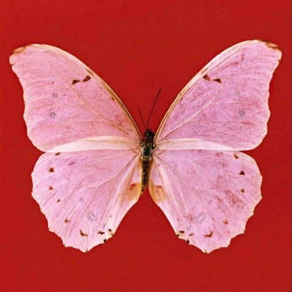 关于==================================================的信息