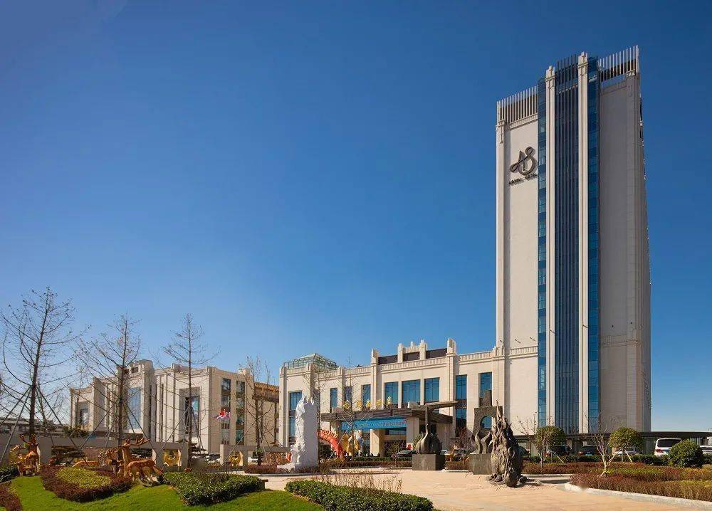 在母公司雄厚实力支撑下,澳森钢铁集团逐步涉足房地产开发,高端酒店