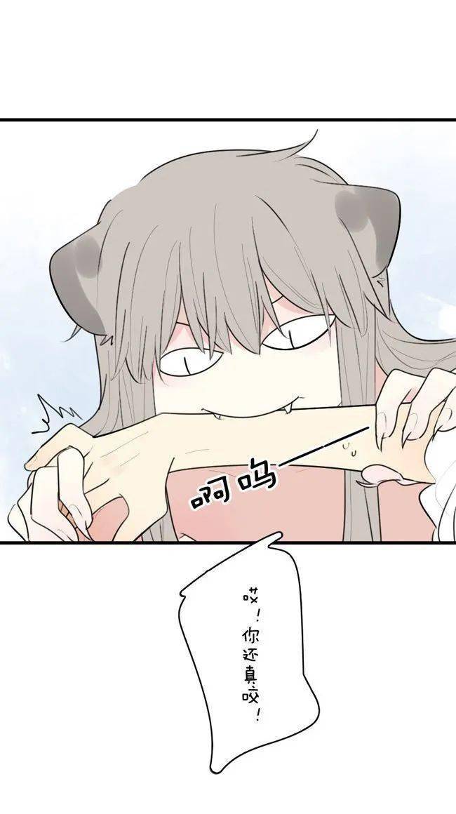 【mo虫】不准生小猫咪,再说我就咬你!_手机搜狐网