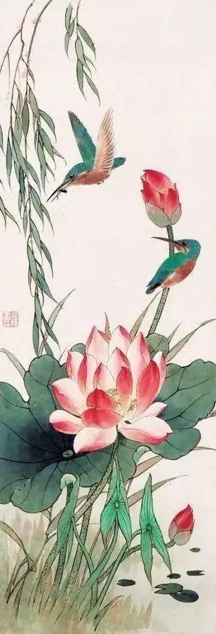 花鸟大师田世光画荷!_荷花