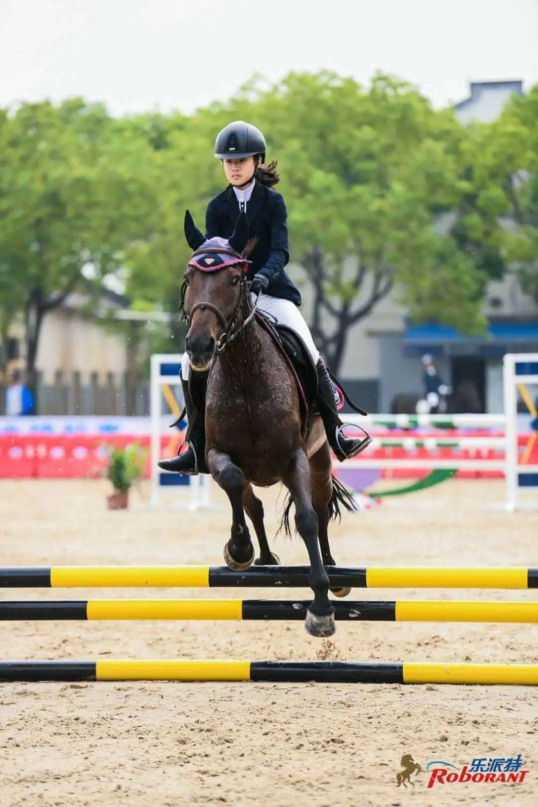 2020上海市青少年马术场地障碍锦标赛暨第九届乐派特杯马术公开赛圆满