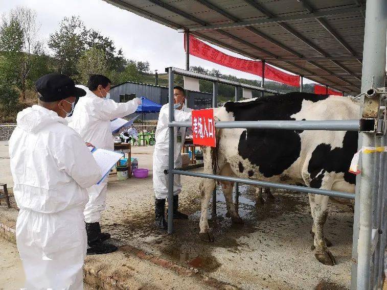 全省第二届家畜繁殖员(奶牛)职业技能竞赛圆满举办