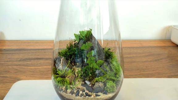 你会这样制作玻璃盆景吗用很简单的材料就能做看到成品我喜欢