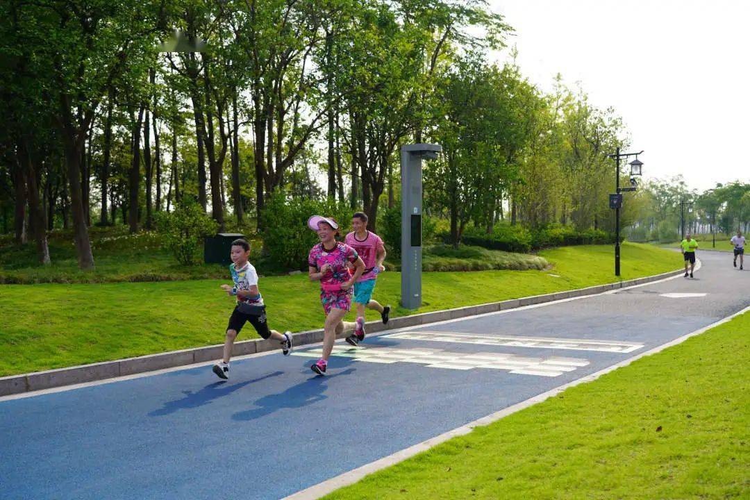 智慧健身步道系统这条智慧跑道沿途设置了智能步道系统,无需佩戴任何