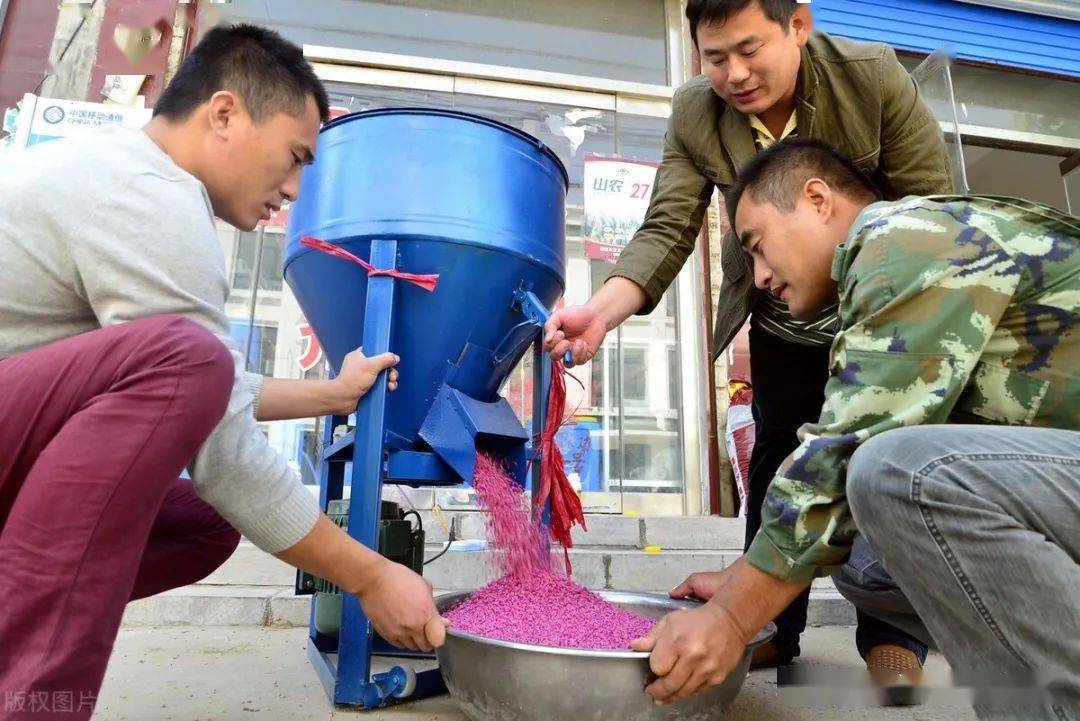 小麦拌种后播种病虫害防不住问题出在选药用药和拌种操作上