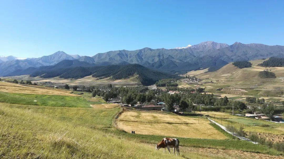 印象天祝哈溪秋景