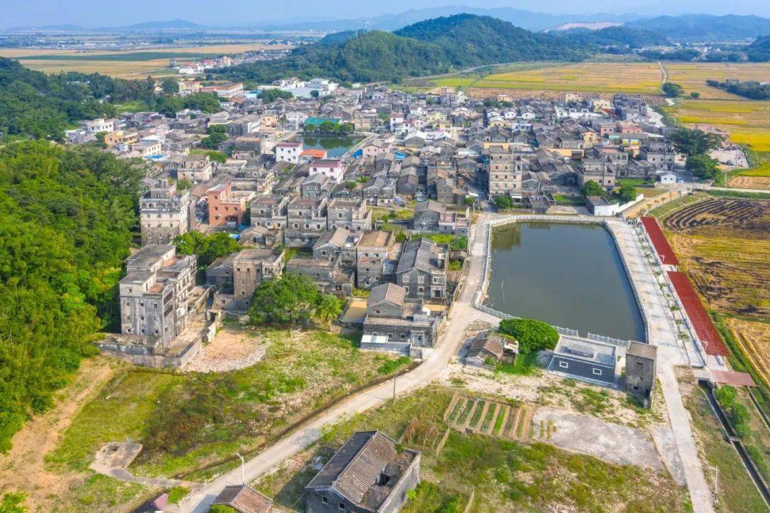 走进斗山镇横江村《美丽台山我的家》第四期直播台山实施乡村振兴战略